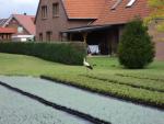 Bilder aus 2011