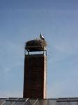 Bilder aus 2012