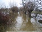 Bilder aus 2003
